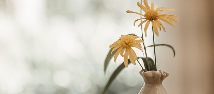 Warum kleine Kurskorrekturen im Frühling große Wirkung haben können